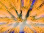 Fiber Optics? or is it close up of a Brush
