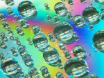 Macro Shot of Water Droplets on CD