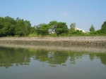 Some greeney by the side of the river