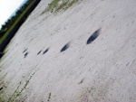 some funny holes on the beach