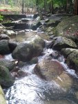 Forest Museum & Recreation Park - Mini Cascading Waterfall