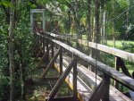 Forest Museum & Recreation Park - Suspension Bridge