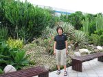 Cactus Garden at Terminal 1