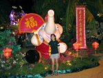 Is it year of the elephant?