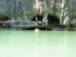 In the hidden lagoon, the second canoe just coming in