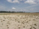 Open area next to Coney Island