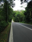 Road leading to Punggol Point, top of 1st slope