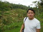 Padi Field