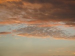 Early Morning
