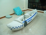 Inflated SeaEagle