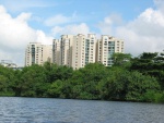 View of my estate from the river