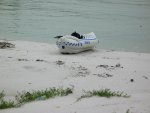 Highlight for Album: SeaEagle Trip 4