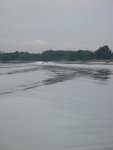 Speedboat bringing funseekers into the river for wakeboarding